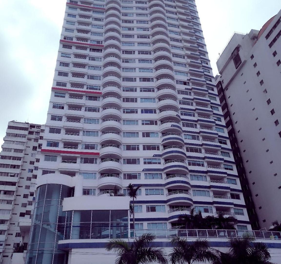 En Palmetto